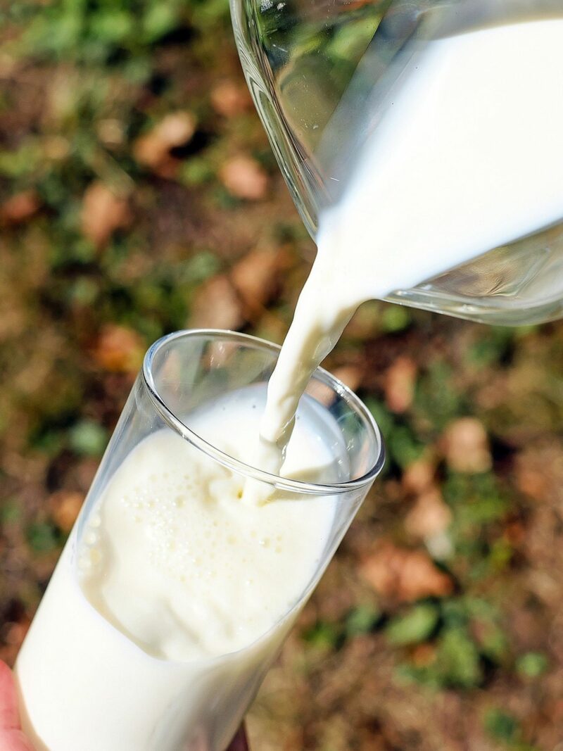 boerderijcamping de kooiplaats verse melk