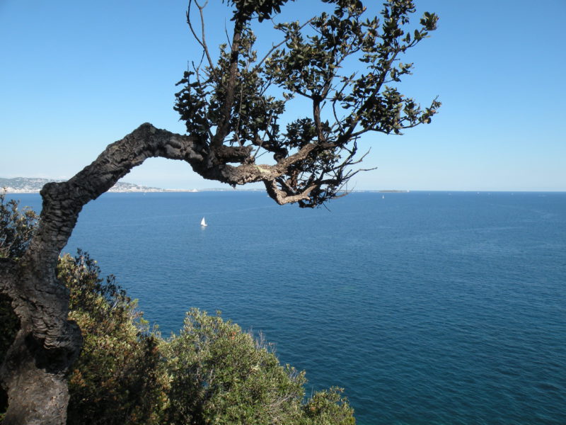 Uitzicht op de Middellandse Zee en de omringende natuur in de buurt van Camping Lei Suves